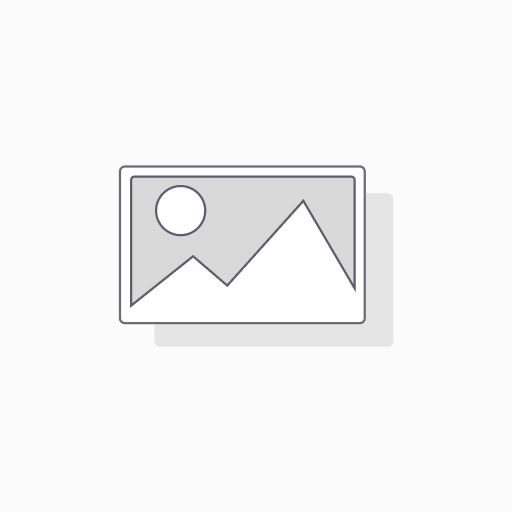 100 Images Subscription (Imagen & Flux 1.1)