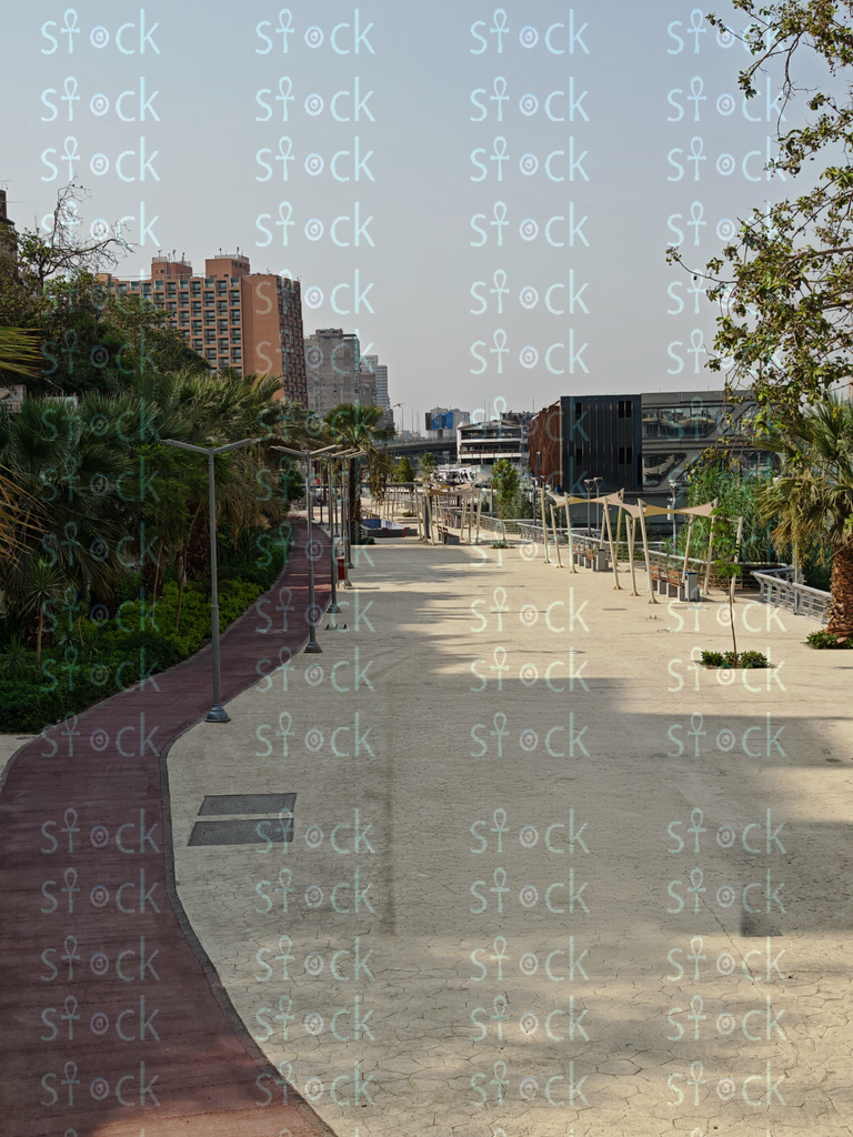 Egypt's walkway surrounded by trees 