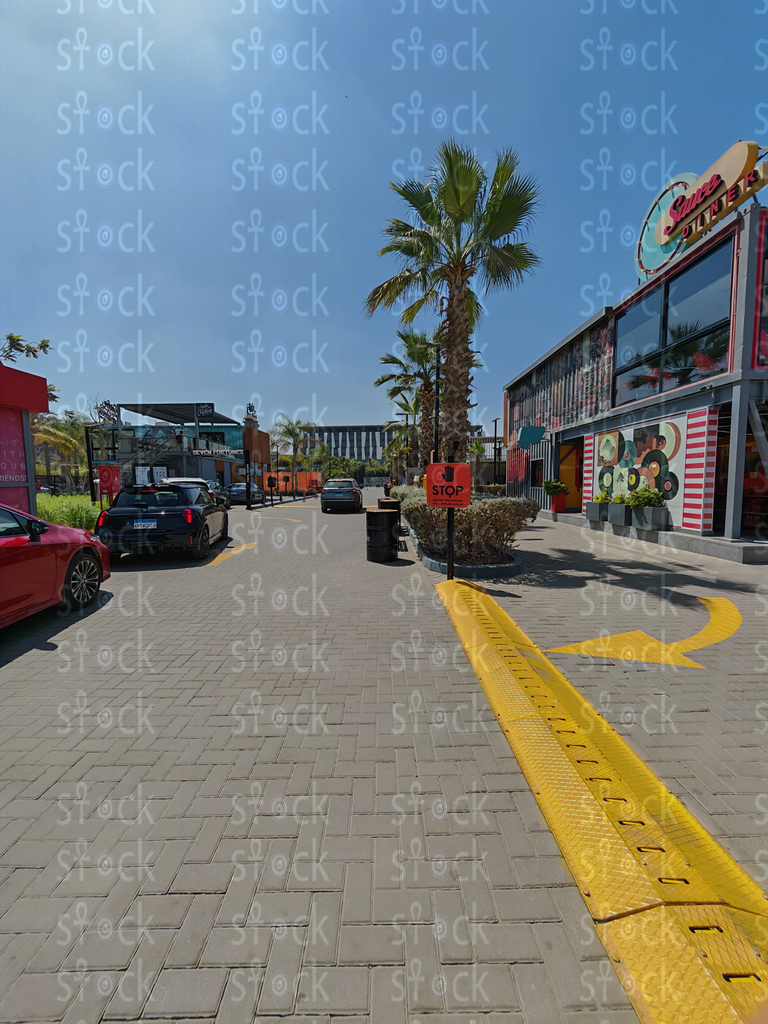 نخيل بجوار المول