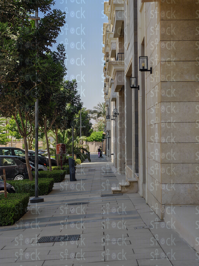 مبنى حجري ونخلة عند المدخل