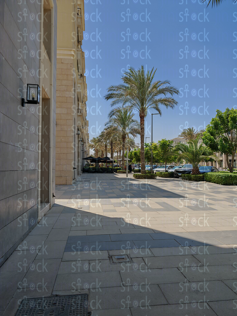 نخلة طويلة بجوار زاوية مبنى