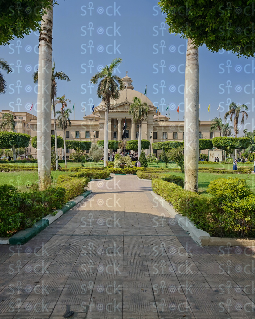 The distinctive entrance to Cairo University amidst palm trees and tree
