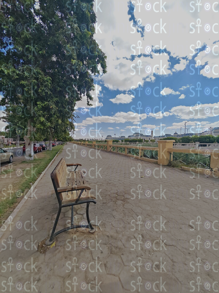 Scenic Bench View on Ismailia Corniche