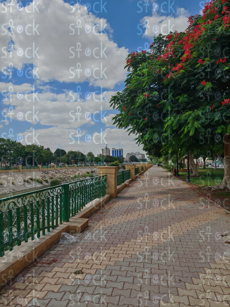 Shady Walk near Ismailia Corniche