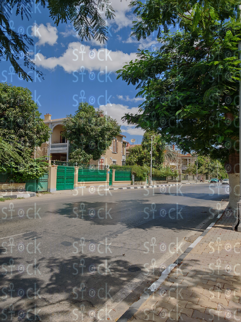 Villa overlooking the street surrounded by trees
