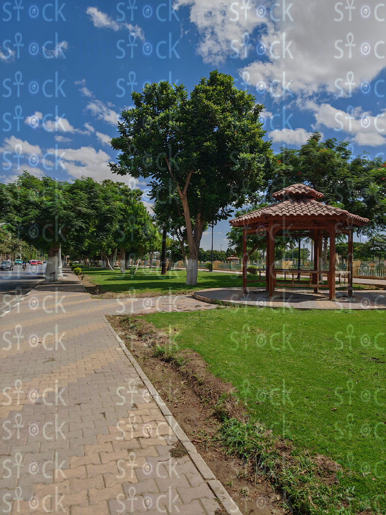Wooden pergola among the trees