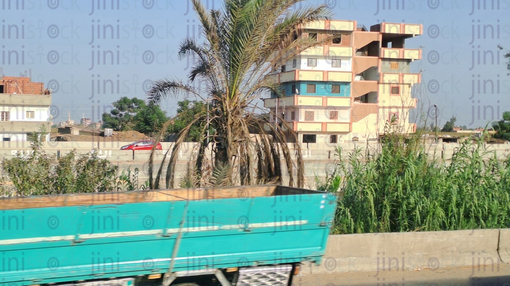 rural building, Plants, and palm tree in the Egyptian countryside