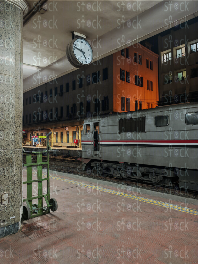 Ancient Egyptian train