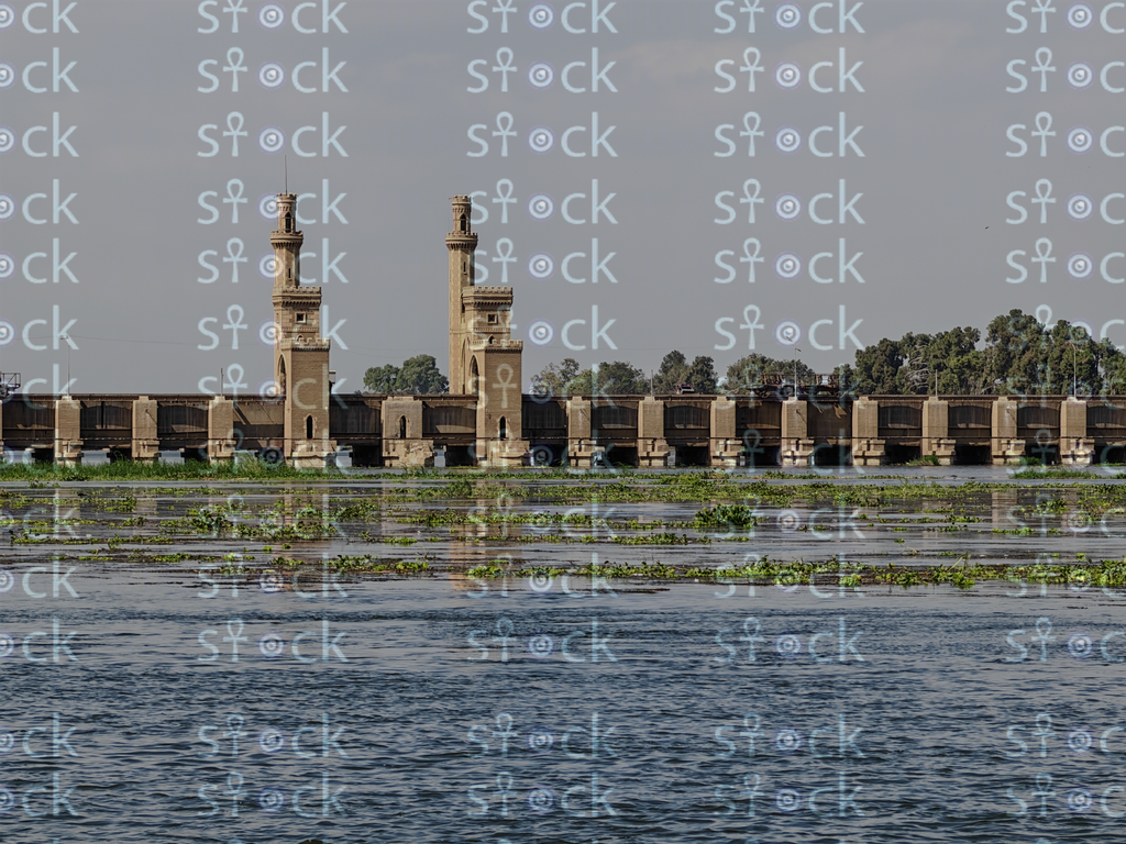 ممشى مظلل بأشجار كثيفة في حديقة القناطر