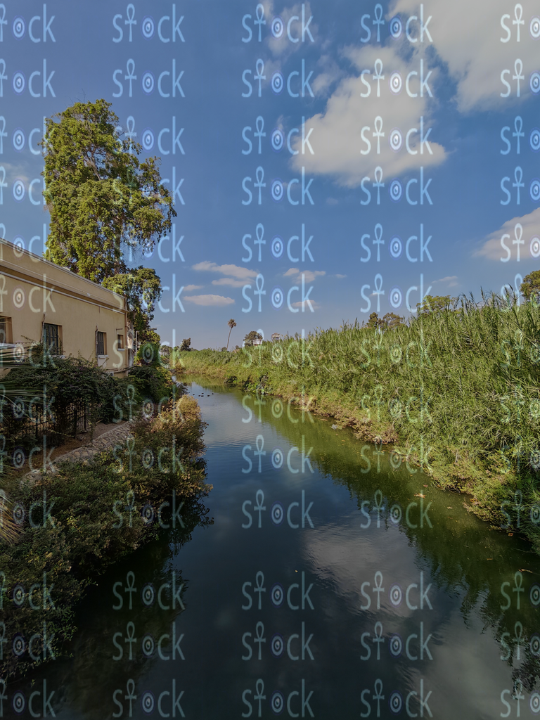 Green Banks by the Water 