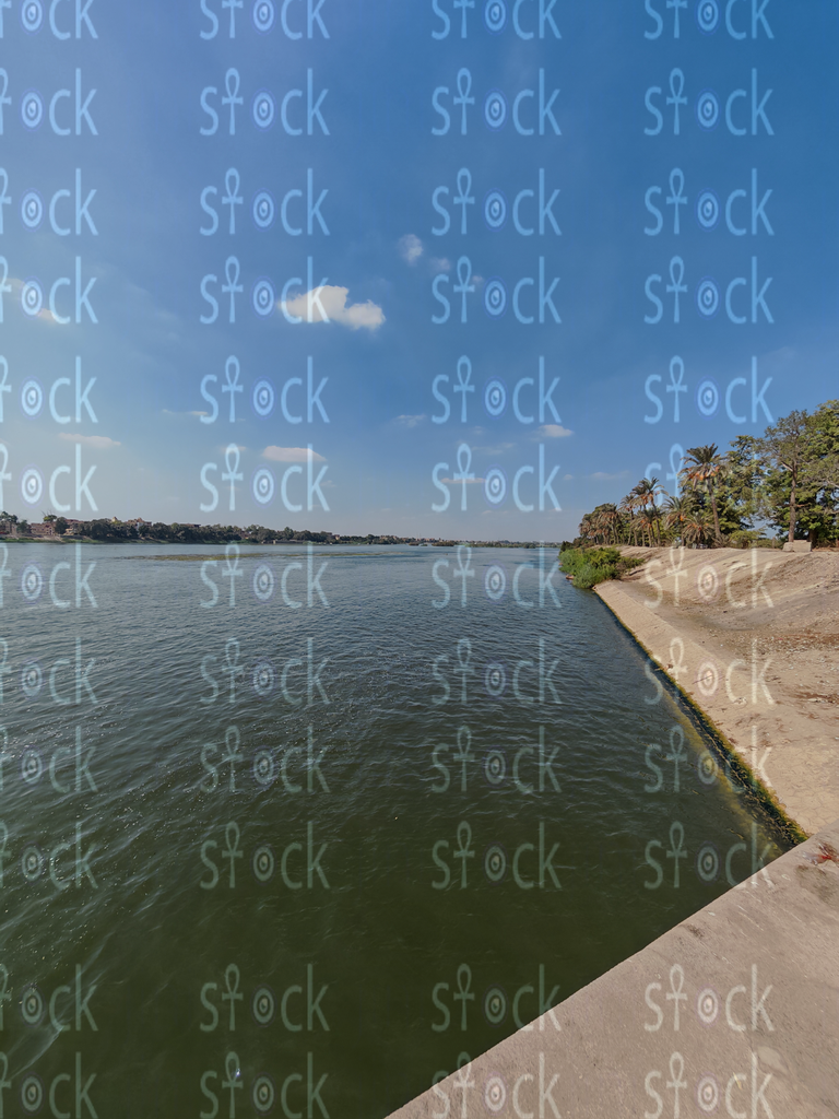  الجمال الهادئ لفرع رشيد