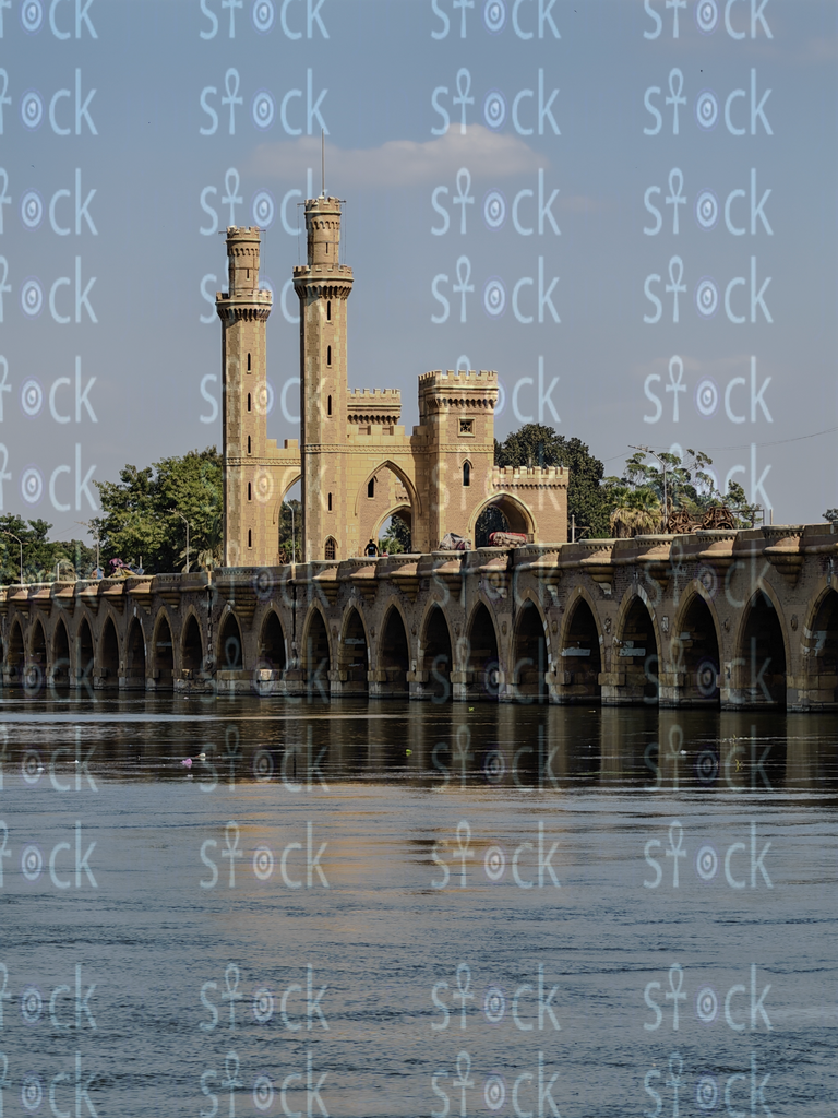 The Silent Guardian of the River