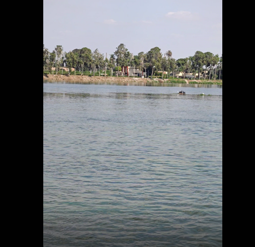 مناطق طبيعيه في نهر النيل مصر