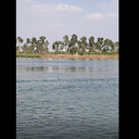 Agricultural areas on the Nile in Egypt 