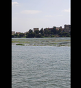The Nile on the Qalyubia branch, Rashed