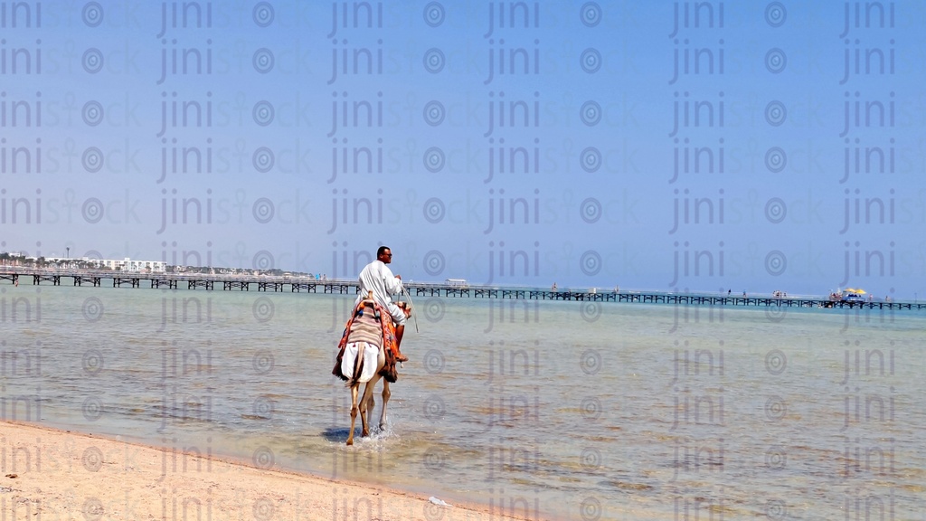 A man riding a camel in Sharm El Shiekh beach in the sea.