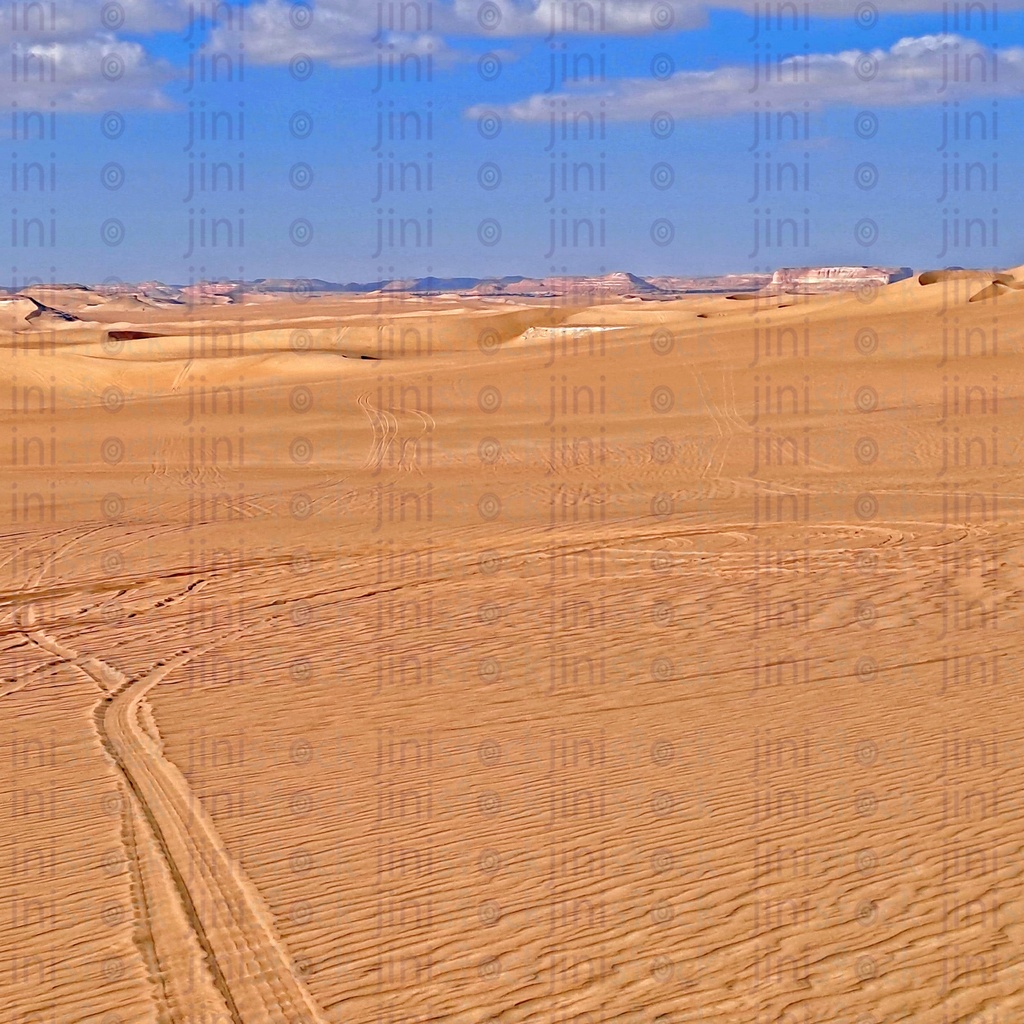 Safari dessert in Siwa Oasis in Egypt سفارى الصحراء فى واحة سيوة