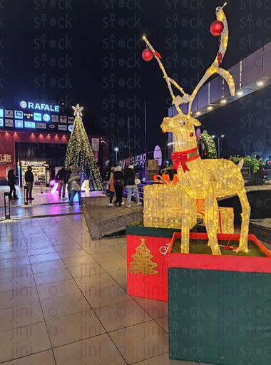 Christmas illumination road decorations, a garden decorated with lights Christmas tree with lights