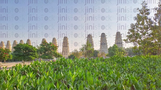 A Farm in the Egyptian countryside in Egypt.