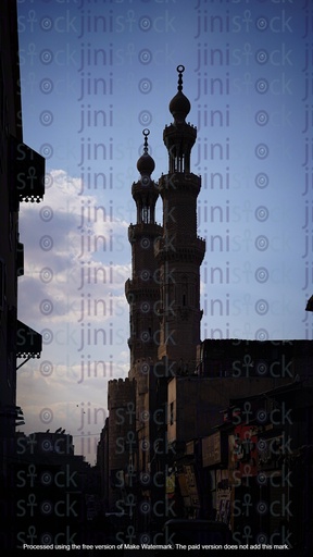 الحكيم بأمر الله المنارة
