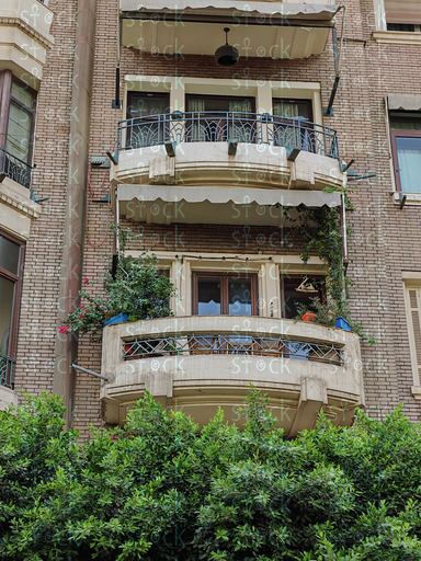 Spacious balconies decorated with green plants above an old facade