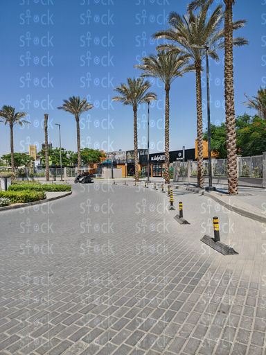 ساحة مفتوحة مضيئة بأحواض نخيل