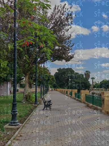  الممر المحاط بالخضرة في كورنيش الإسماعيلية