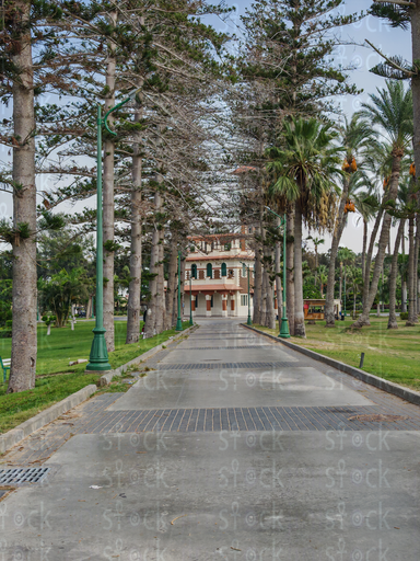 Golden Light through the Garden Trees – Montaza Park 
