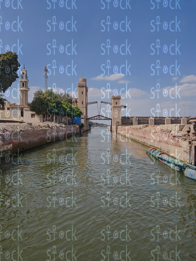 نخيل بجوار النهر