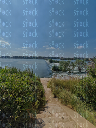 انعكاسات السماء الزرقاء على فرع رشيد بجانب الزرع