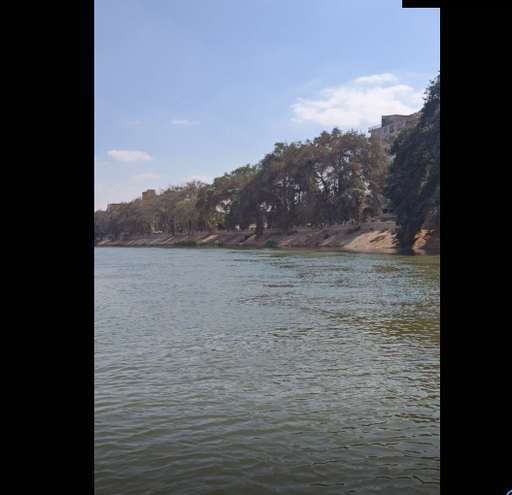 شجر ومناطق زراعية على النيل مصر