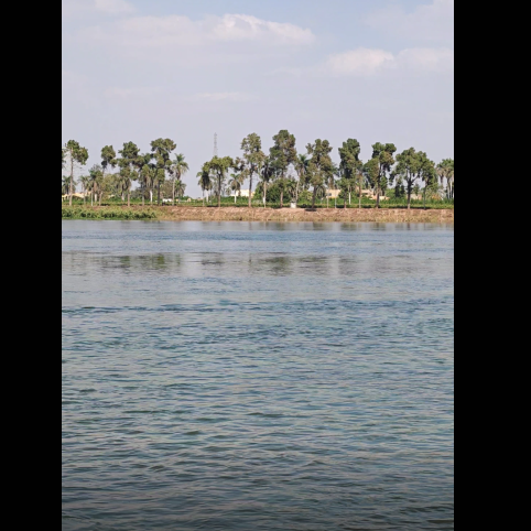 Agricultural areas on the Nile in Egypt 