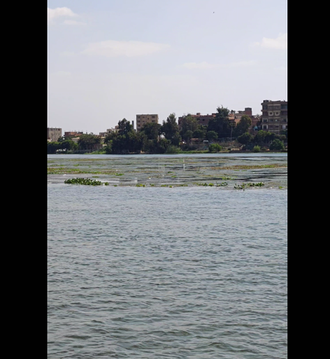 The Nile on the Qalyubia branch, Rashed