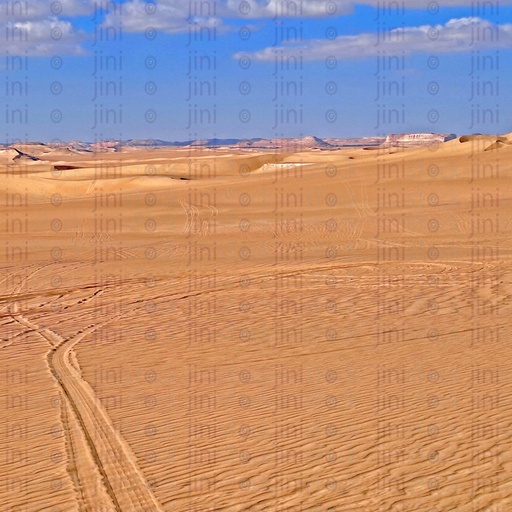 Safari dessert in Siwa Oasis in Egypt سفارى الصحراء فى واحة سيوة