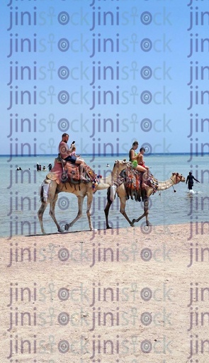 people riding camels on the beach in Sharm El Shiekh.. اجواء الصيف