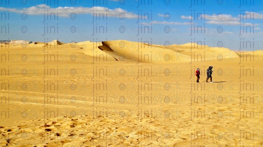  سفارى الصحراء فى سيوة